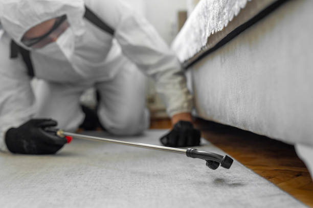 Professional Pest Control technician working in Inez, TX