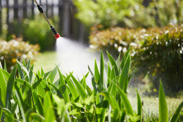 24/7 Emergency Pest Control experts in Inez, TX