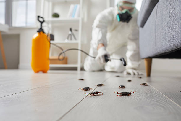 Affordable Pest Control solutions in Inez, TX